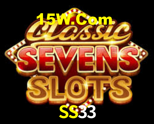 SS33 App Interface