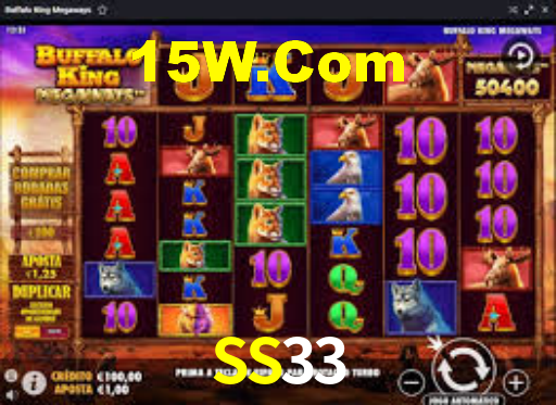 Premium Interface SS33