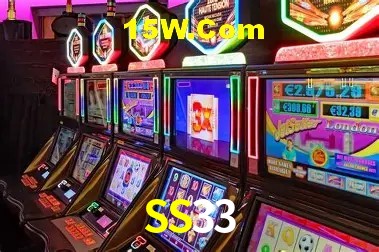SS33 Salvador - Support