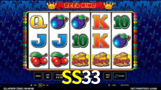 SS33,SS33.Com