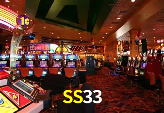 SS33