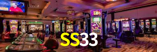 SS33